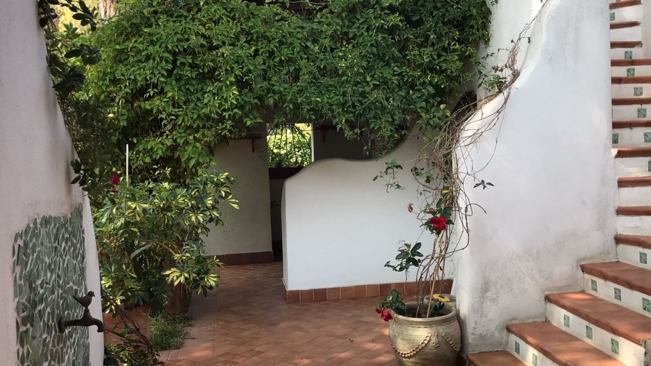 Photo of Outdoor in Laura