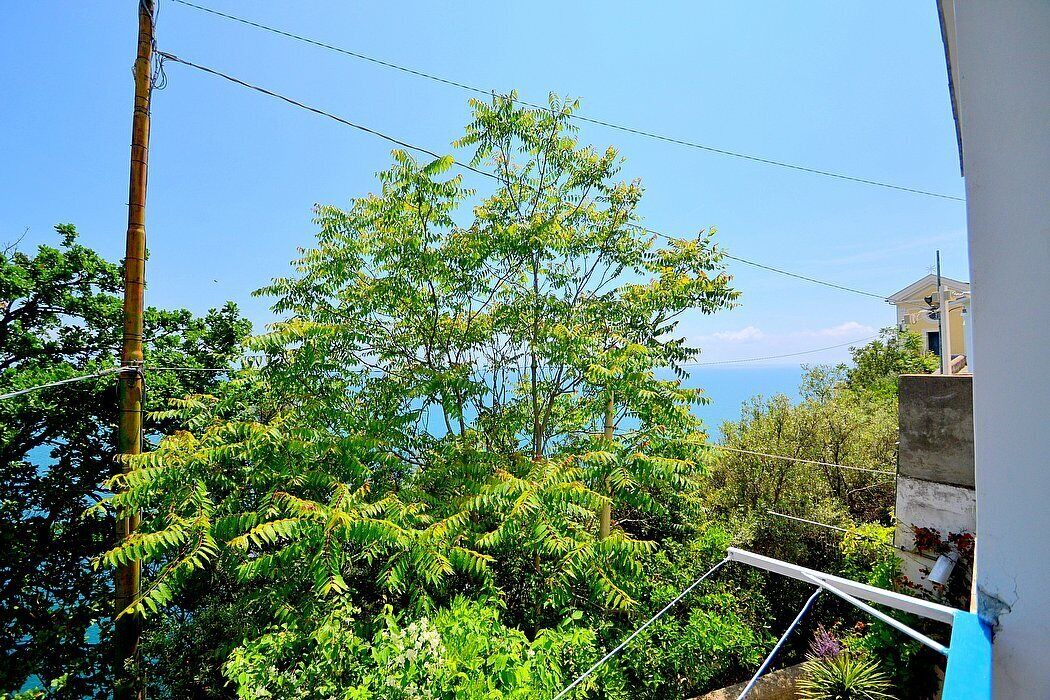 Photo of Outdoor in Pogerola