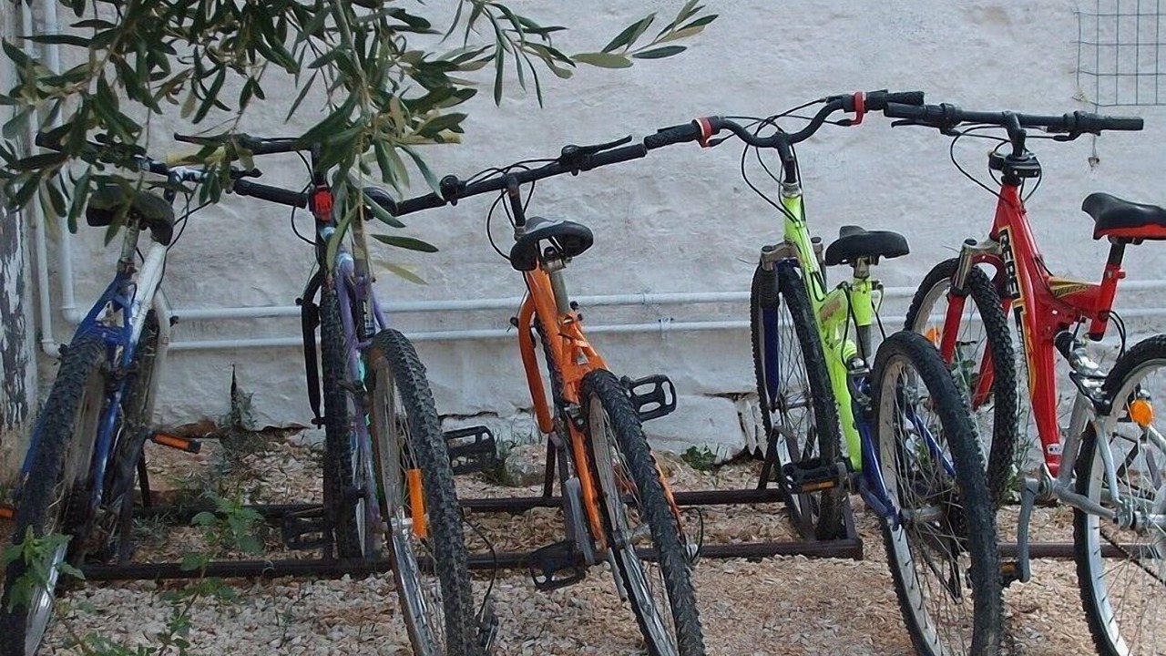 Photo of Others in Casalini