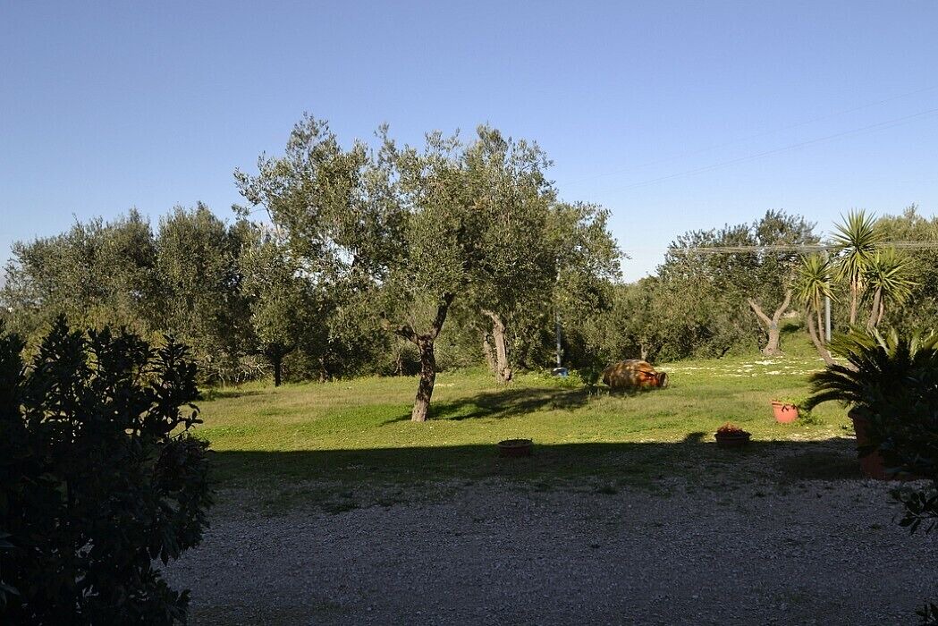 Photo of Outdoor in Casalini
