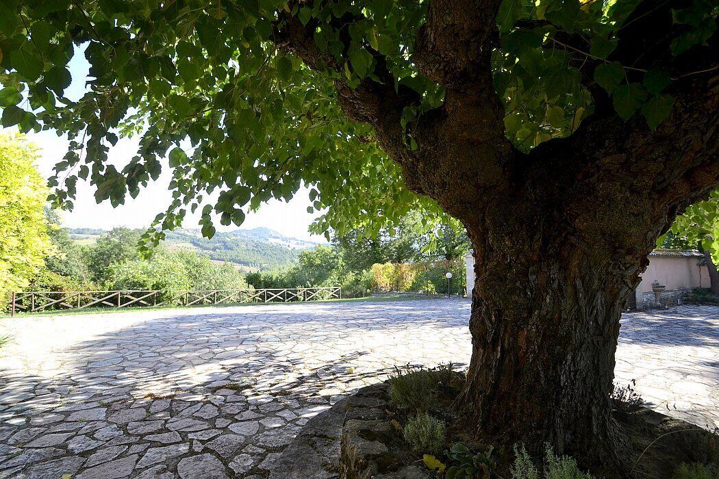 Photo of Outdoor in Todi