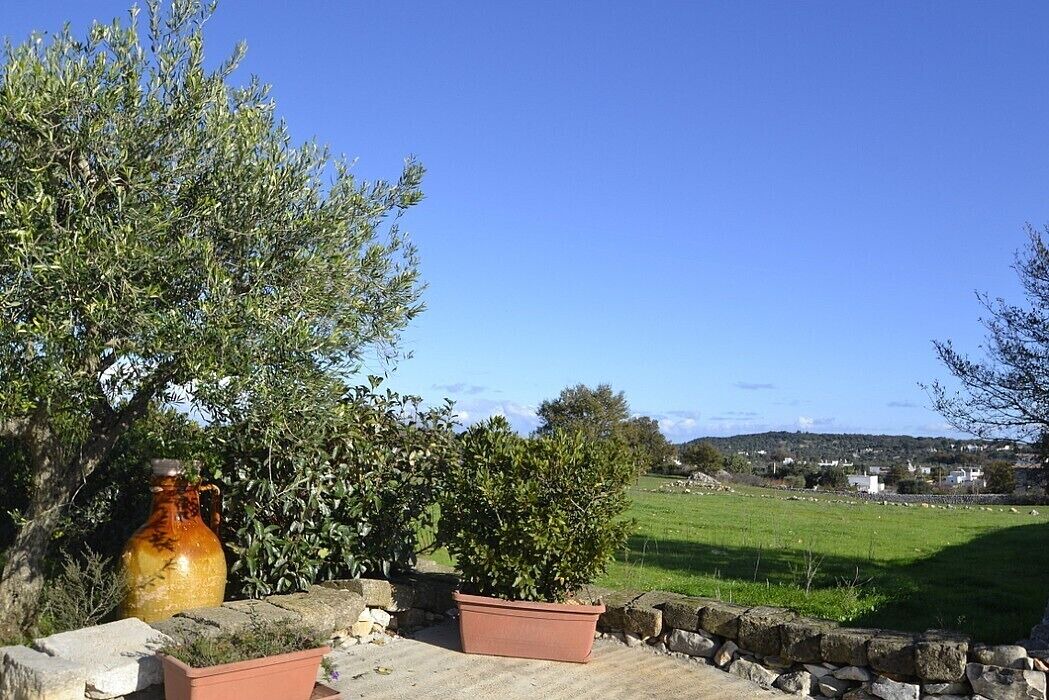 Photo of Outdoor in Casalini
