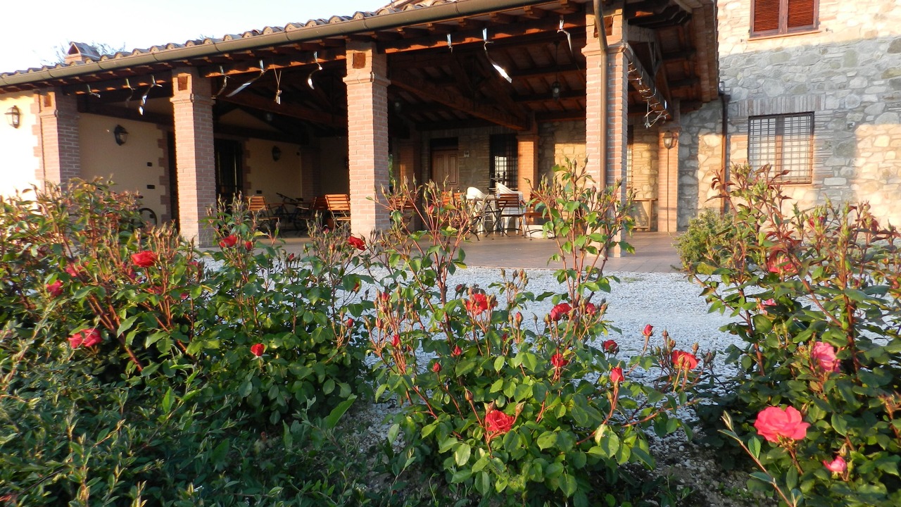Photo of Outdoor in Loreto