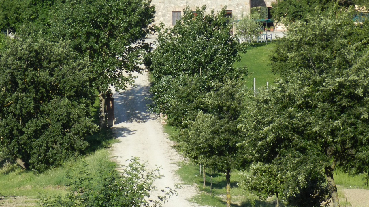 Photo of Outdoor in Loreto