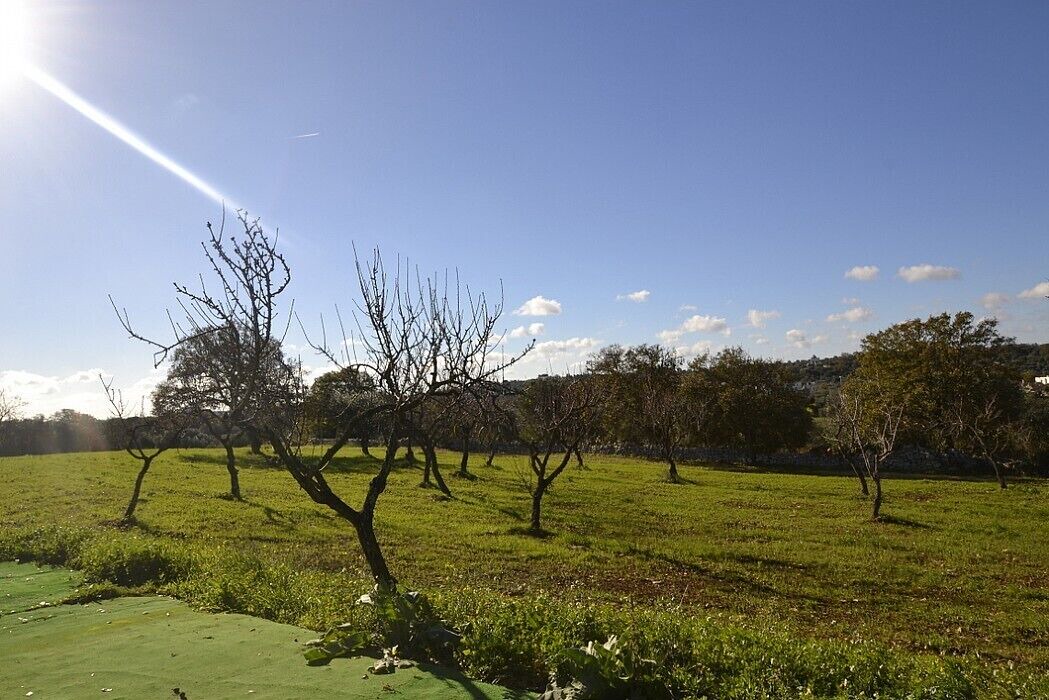 Photo of Outdoor in Casalini