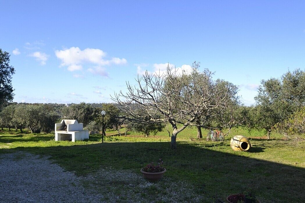 Photo of Outdoor in Casalini