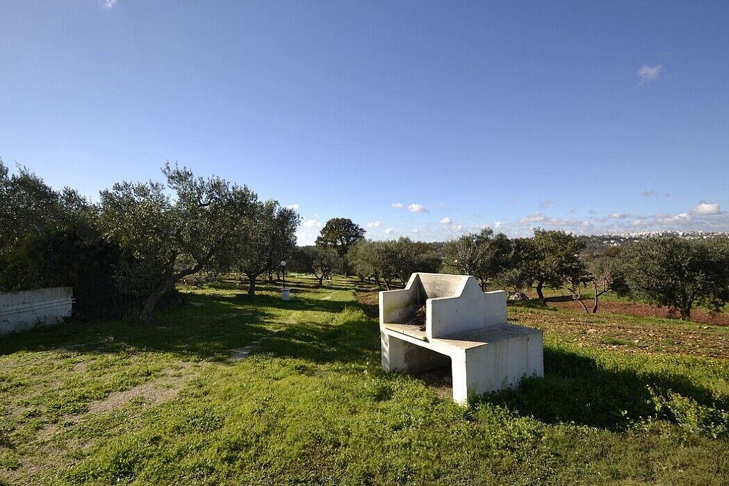 Photo of Outdoor in Casalini