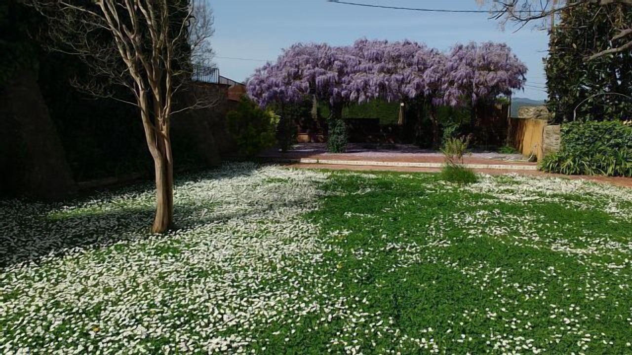Photo of Outdoor in Sant Pol