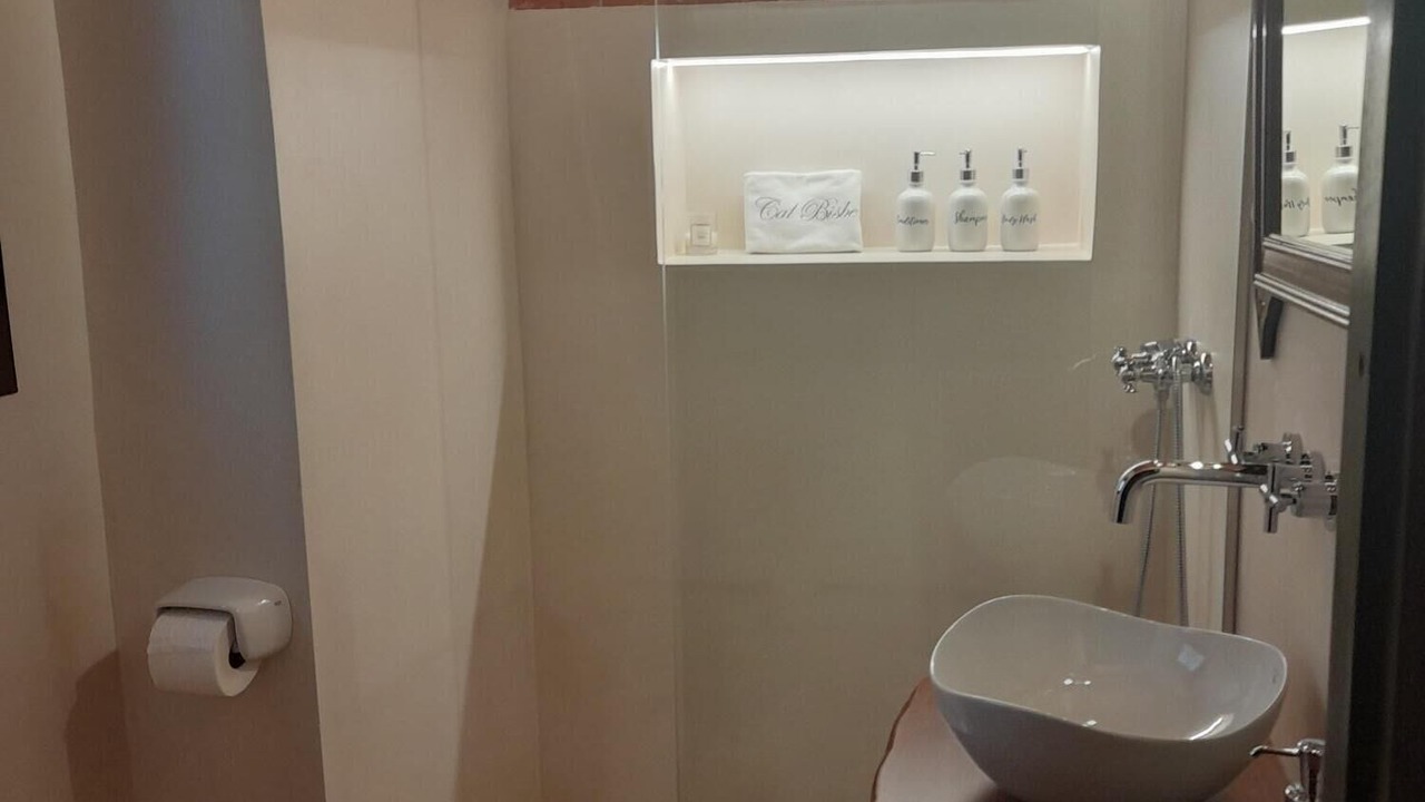 Photo of Bathroom in Capmany