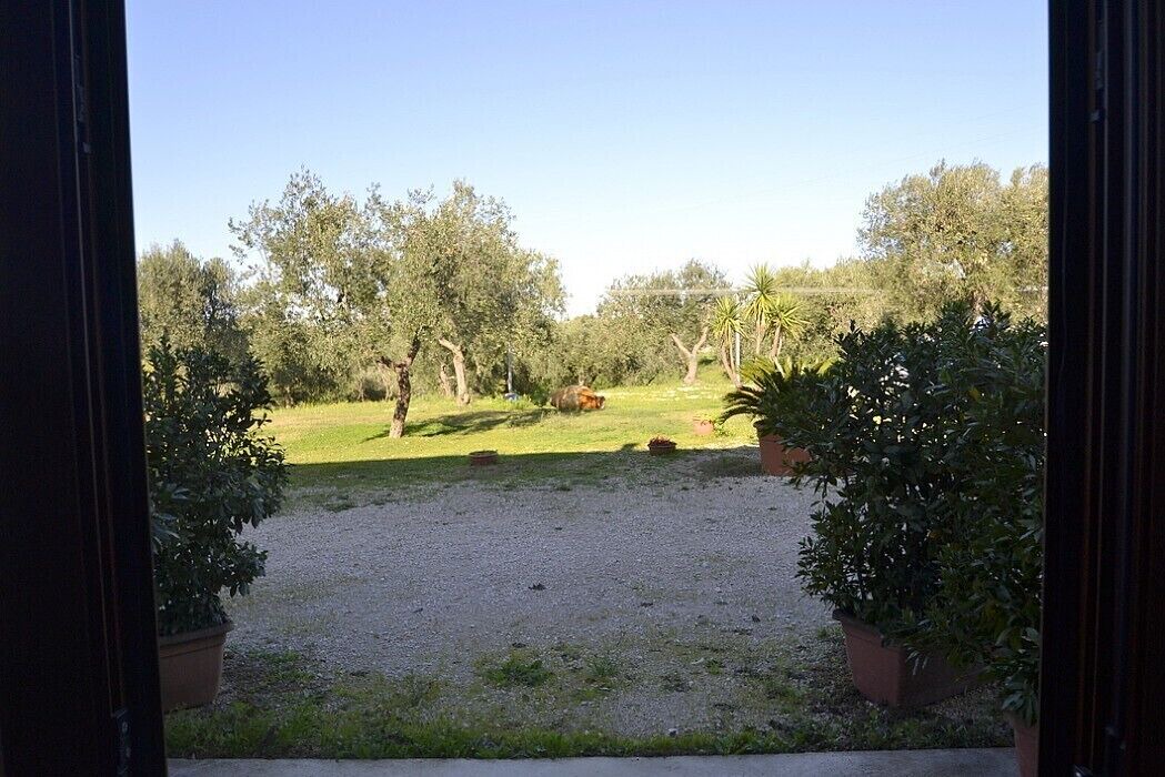 Photo of Others in Casalini