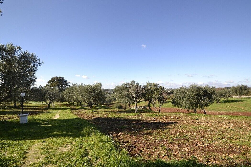 Photo of Outdoor in Casalini