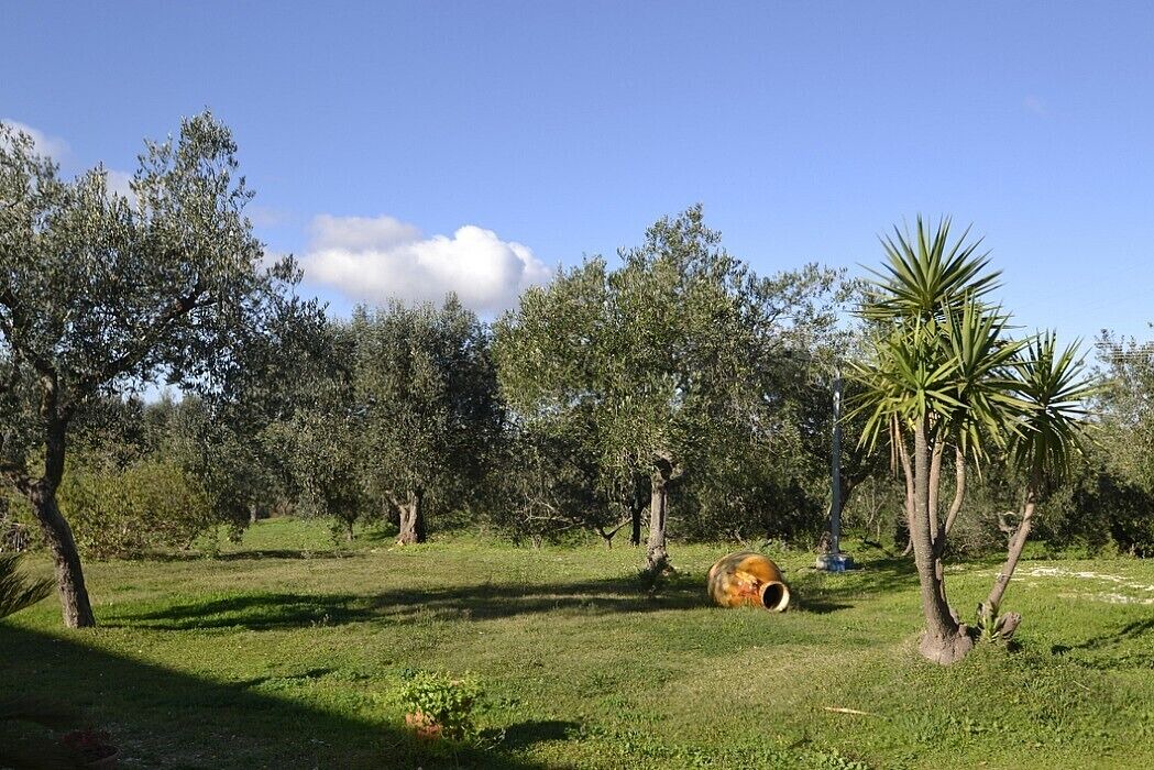 Photo of Outdoor in Casalini