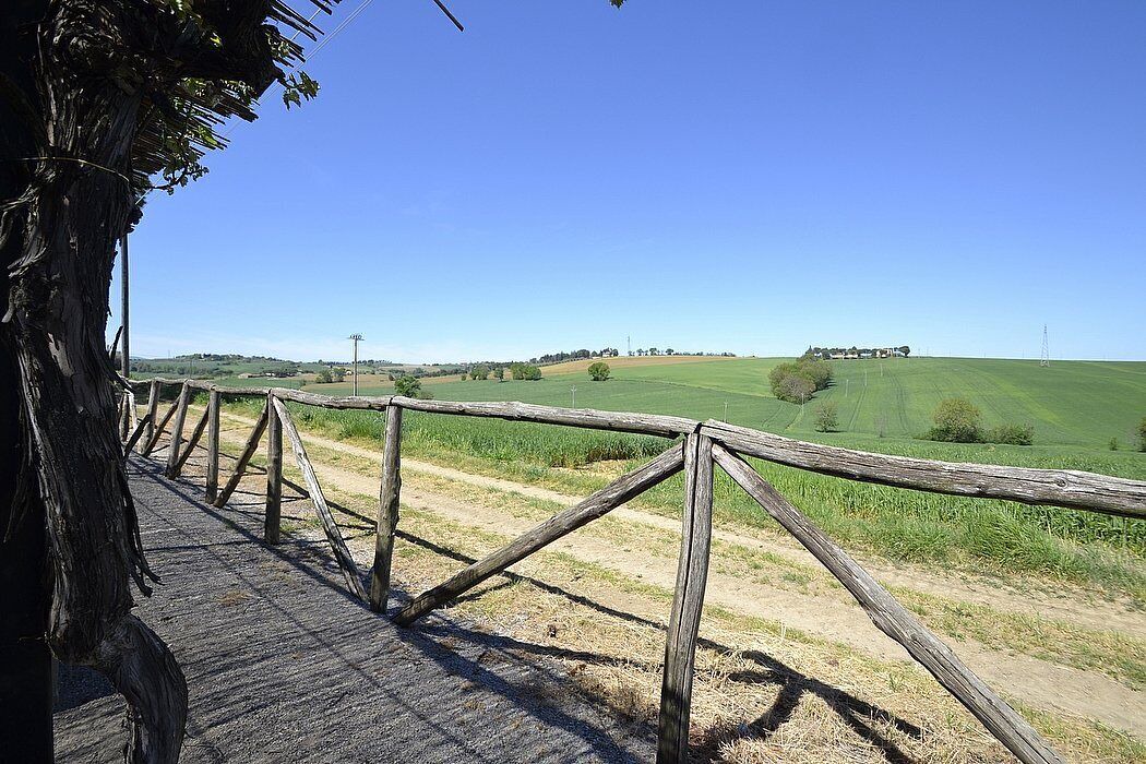 Photo of Others in Castiglione del Lago
