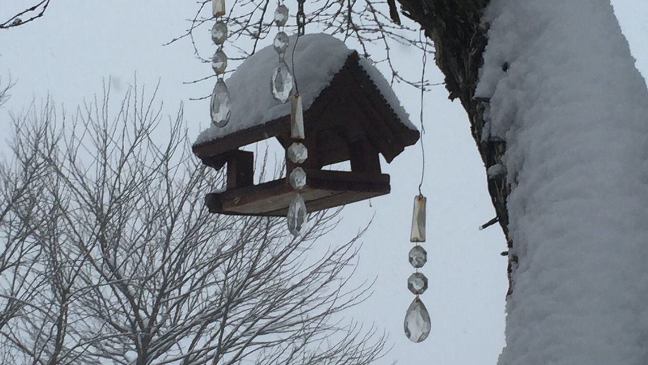 Photo of Outdoor in Spiazzi