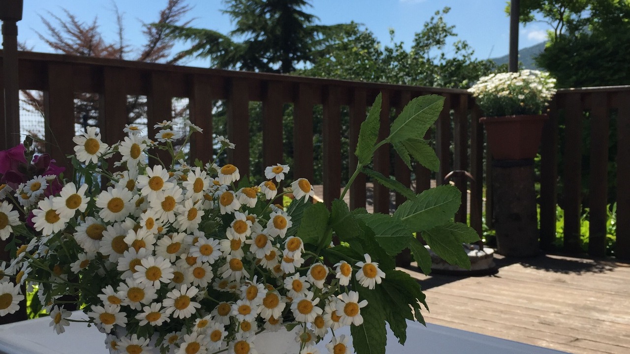 Photo of Patio Balcony in Spiazzi