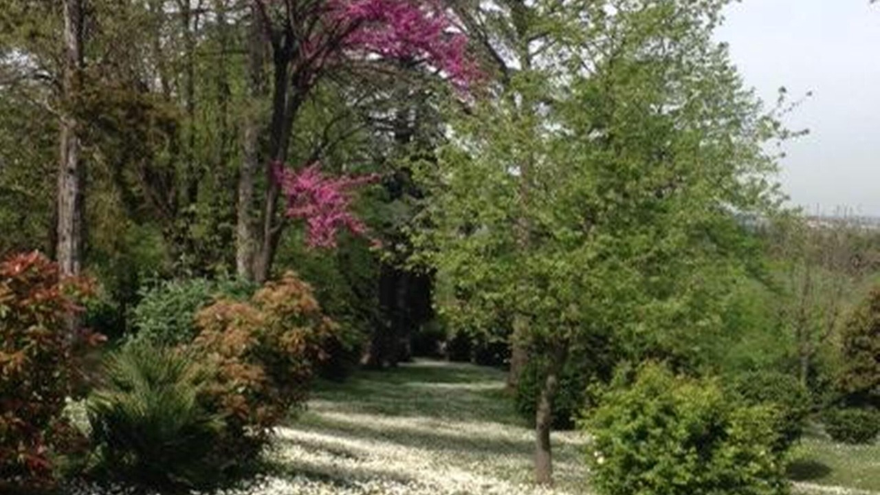 Photo of Outdoor in Castel San Pietro Terme