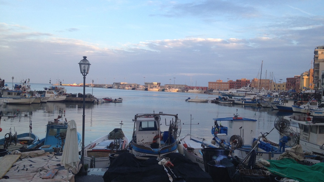 Photo of Others in Nettuno