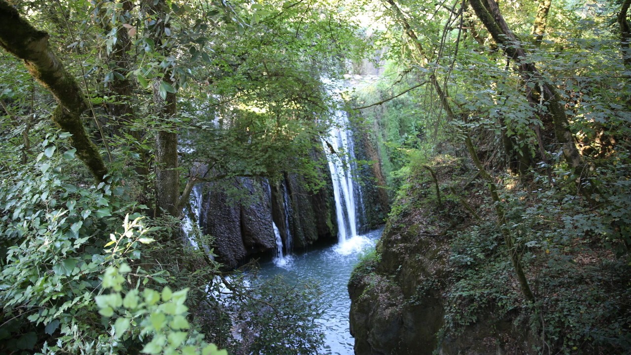Photo of Outdoor in Formello