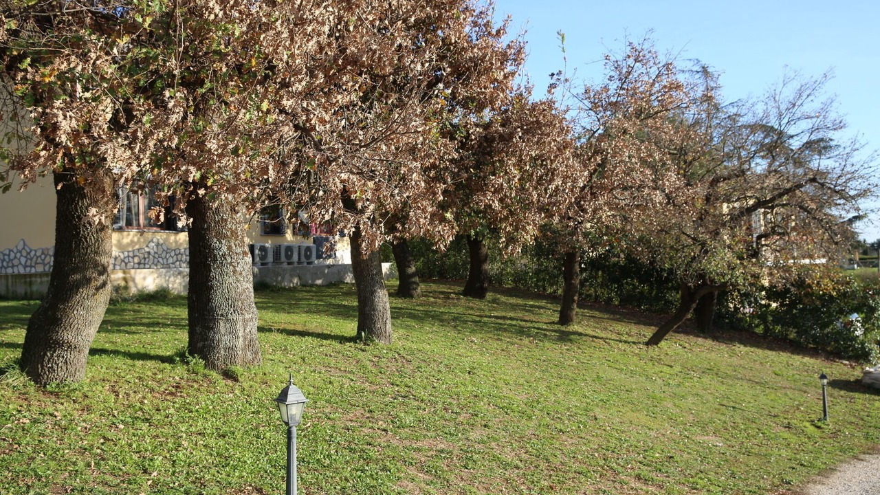 Photo of Outdoor in Formello