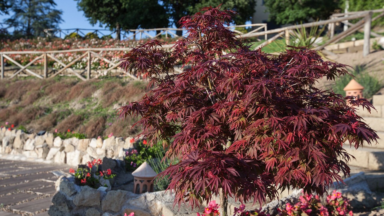 Photo of Outdoor in Formello