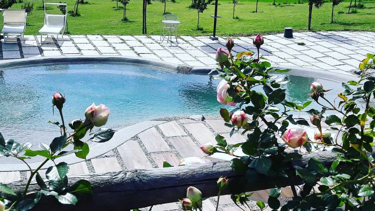 Photo of Outdoor in Formello