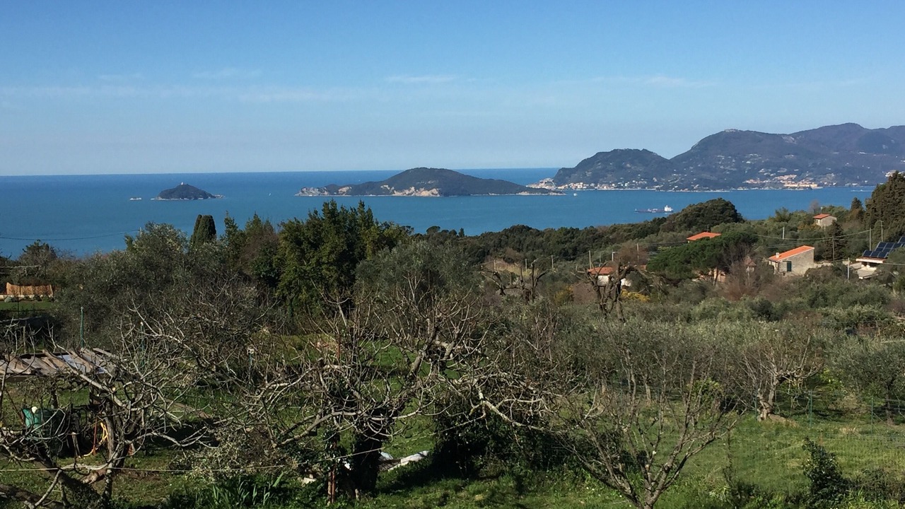 Photo of Outdoor in Montemarcello