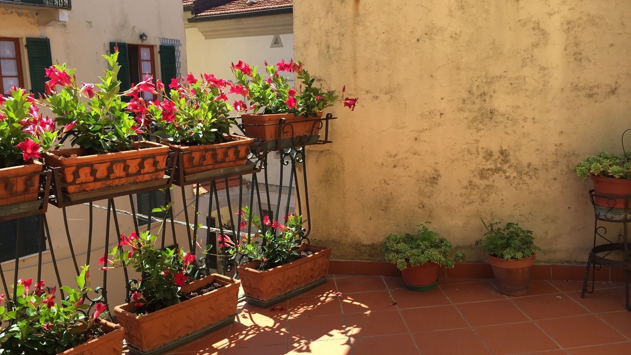 Photo of Patio Balcony in Montemarcello