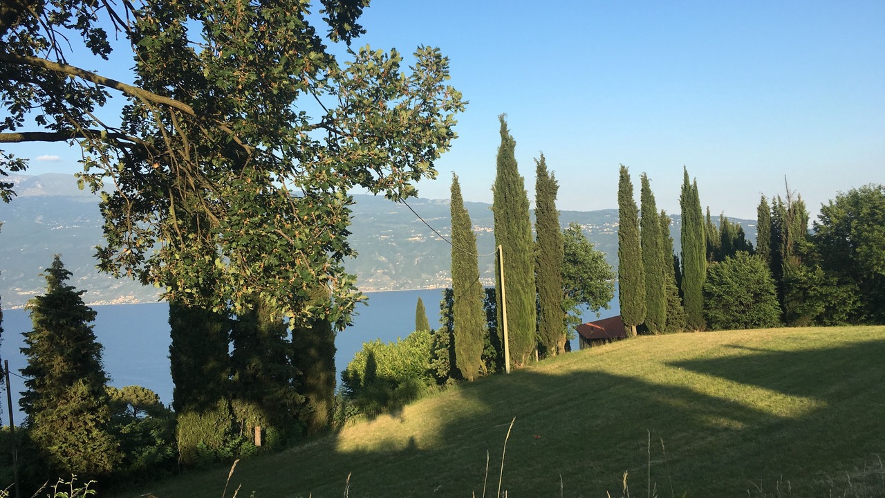 Photo of Outdoor in Navazzo