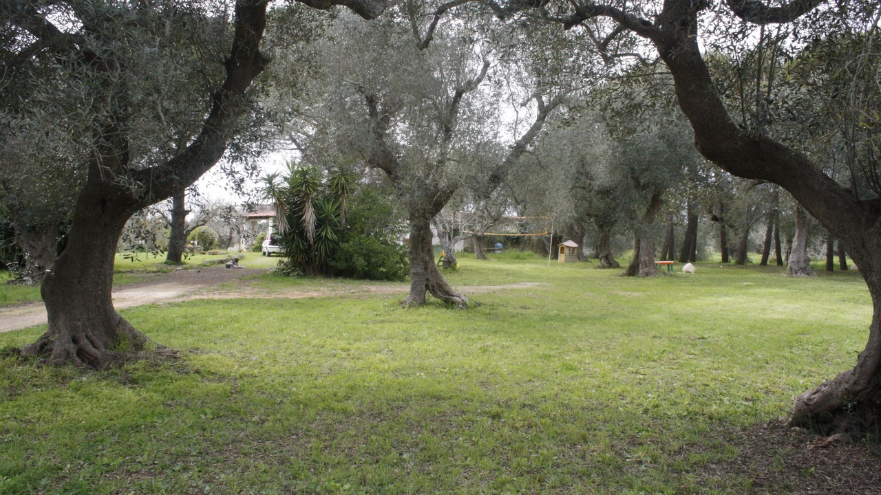 Photo of Outdoor in Monteroni di Lecce