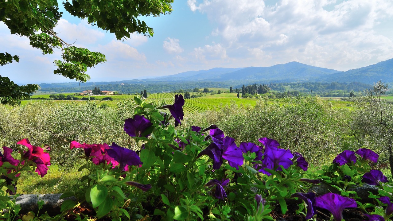 Photo of Outdoor in Rignano sull'Arno