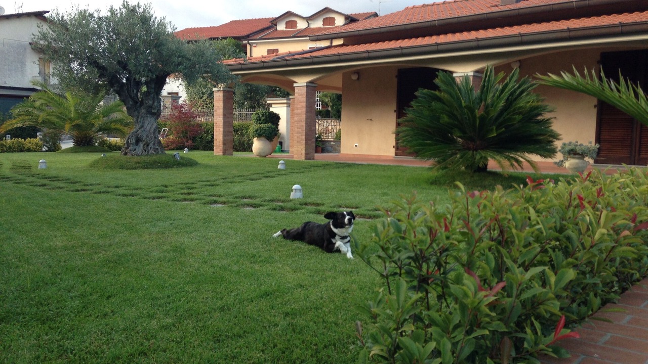 Photo of Outdoor in Castelnuovo Magra