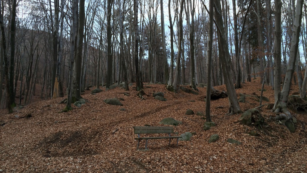 Photo of Outdoor in Boleto