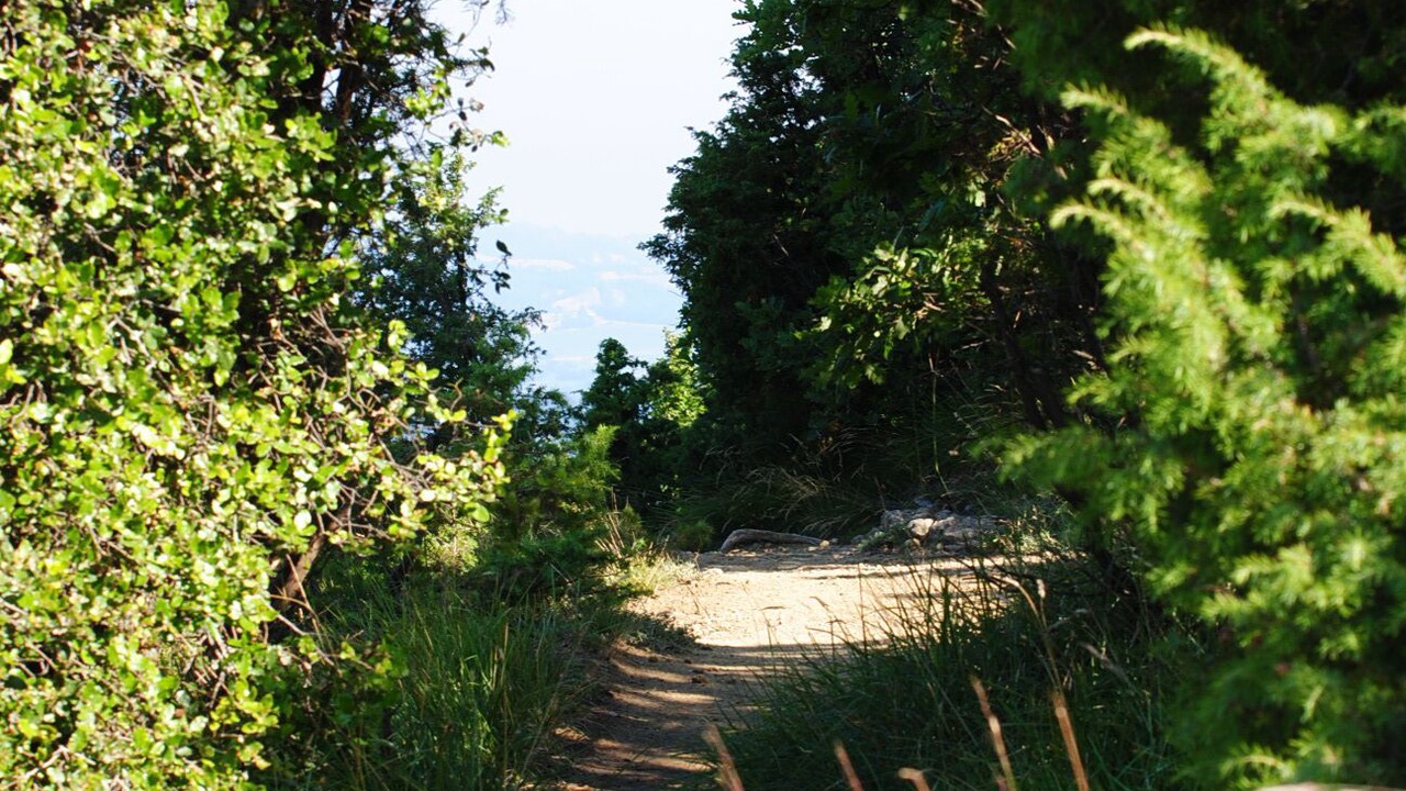 Photo of Outdoor in Livergnano