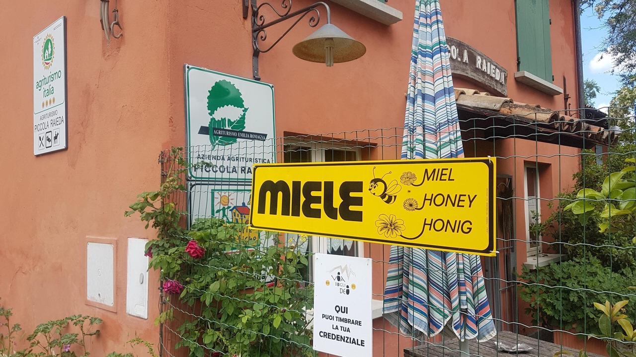 Photo of Outdoor in Livergnano