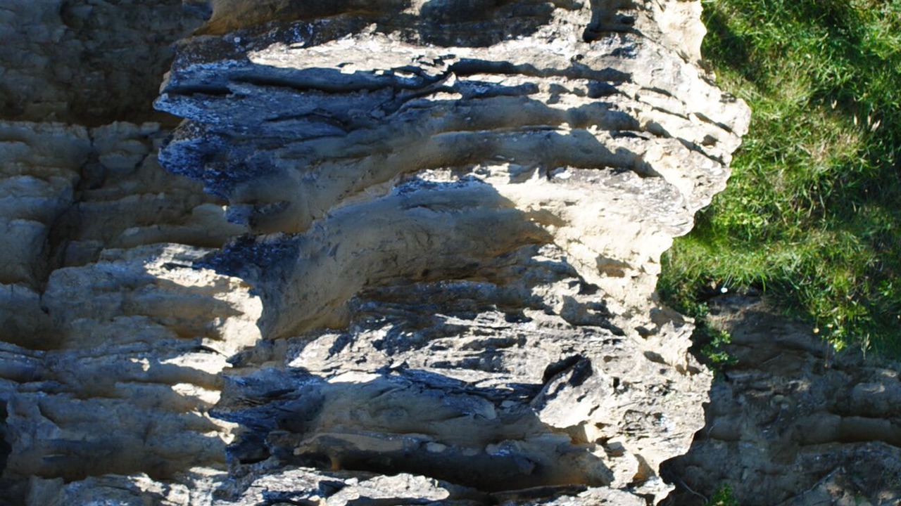 Photo of Outdoor in Livergnano