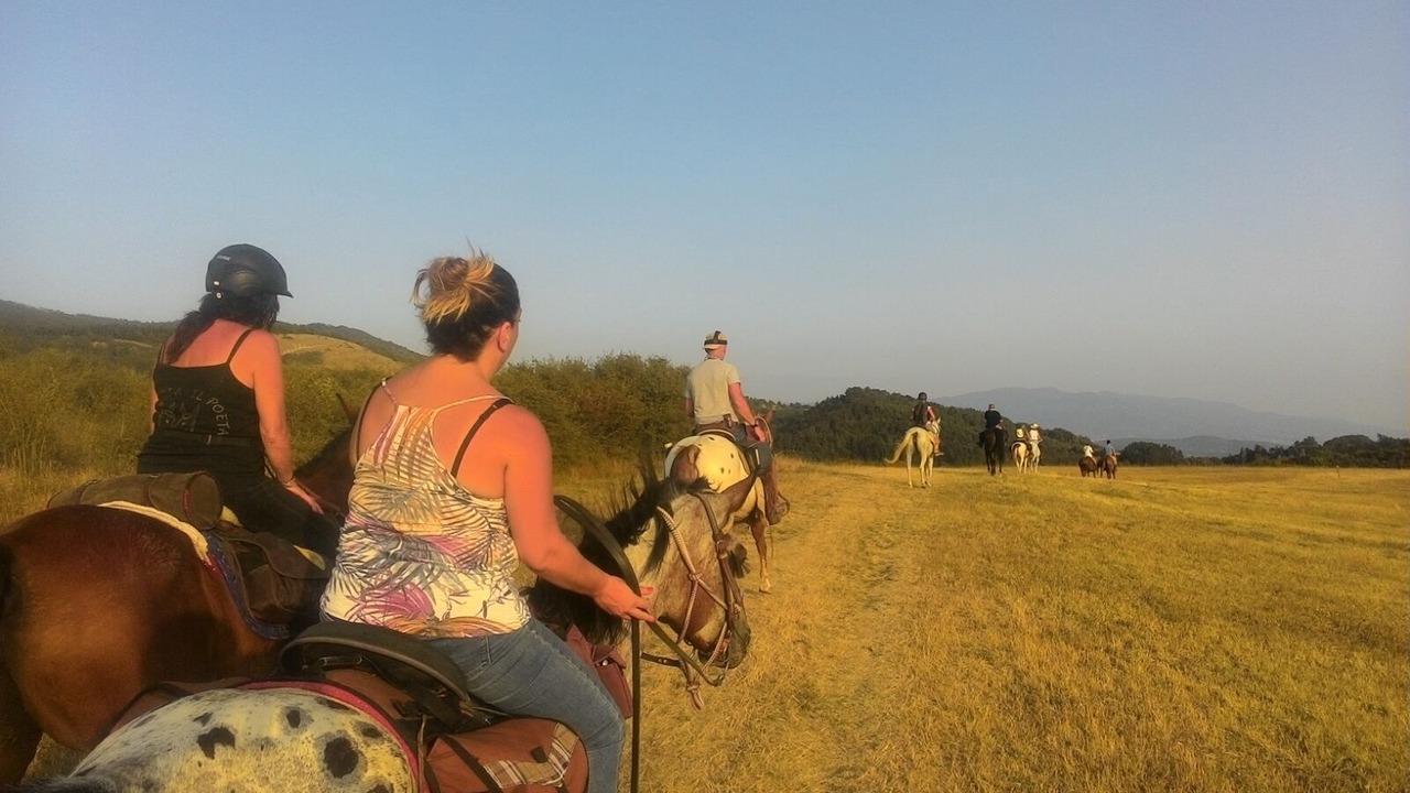 Photo of Outdoor in Livergnano