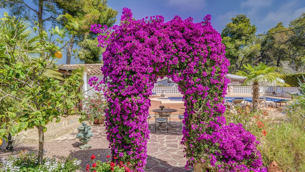 Photo of Outdoor in Panorama
