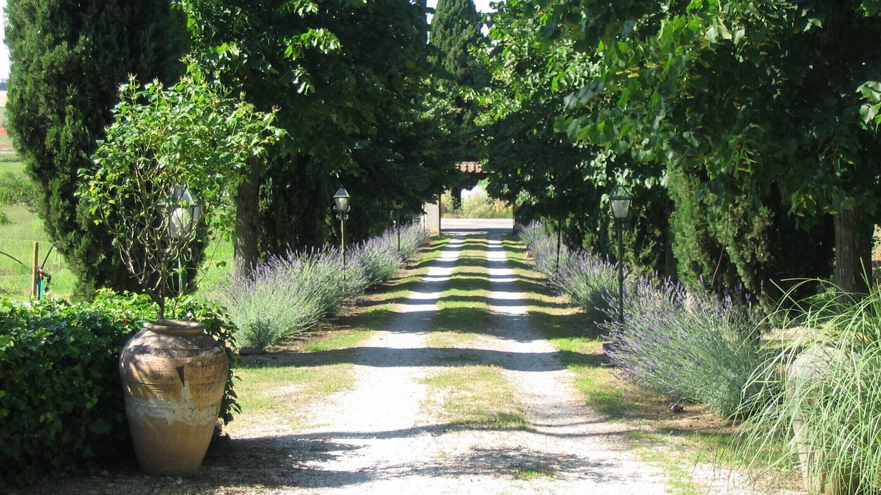 Photo of Outdoor in Panicale