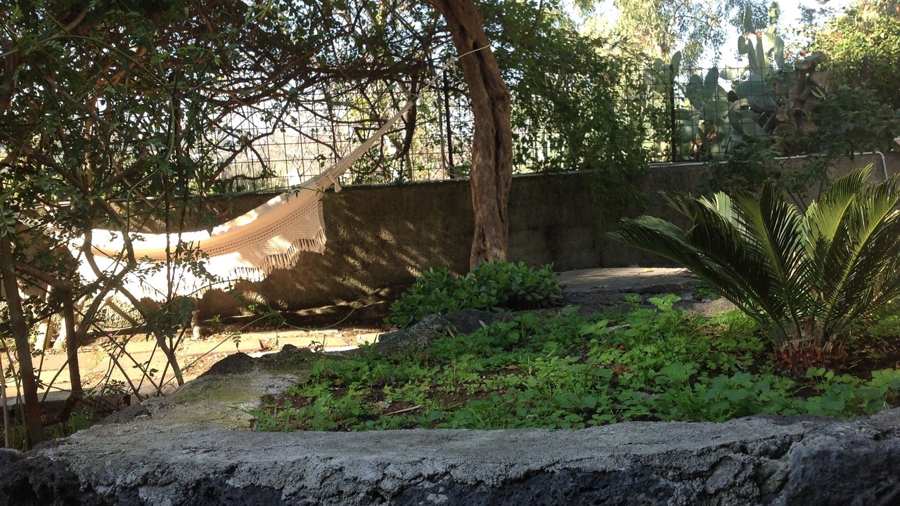 Photo of Outdoor in Capo Mulini