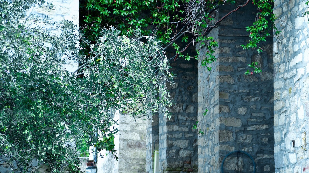 Photo of Others in Selva di Altino