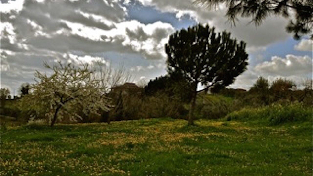 Photo of Outdoor in Castiglione in Teverina