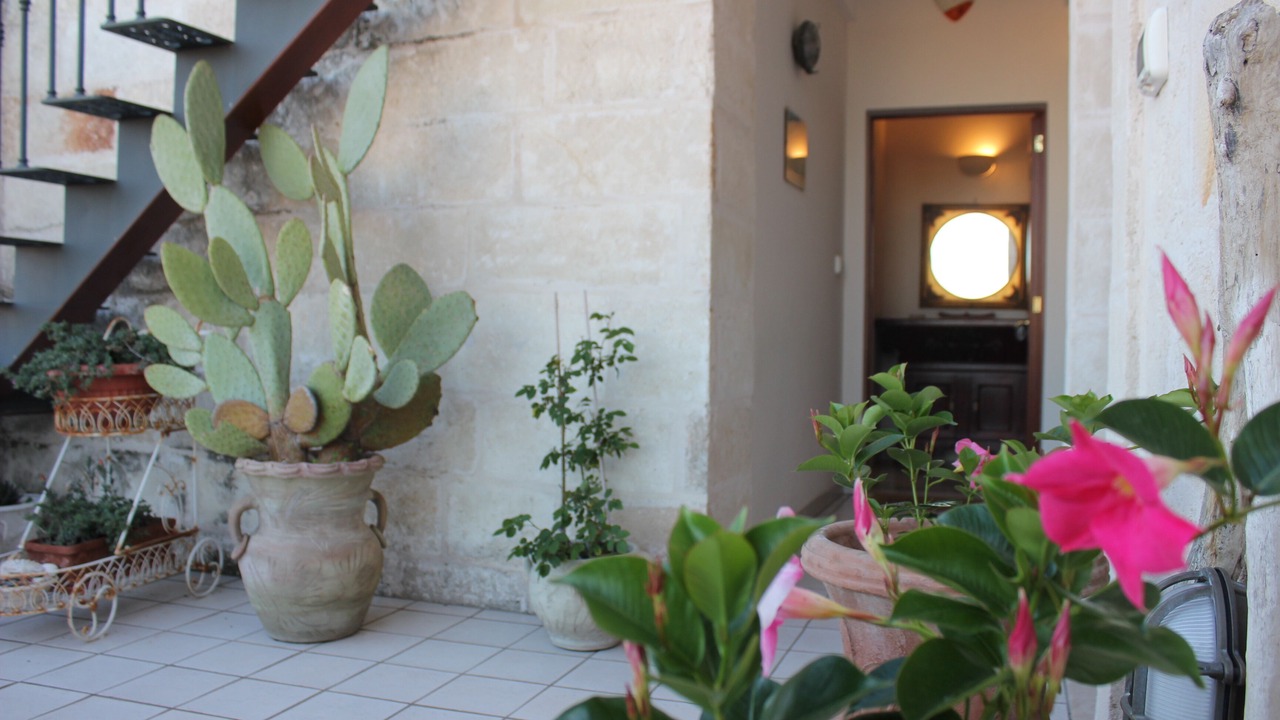 Photo of Others in Centro Storico