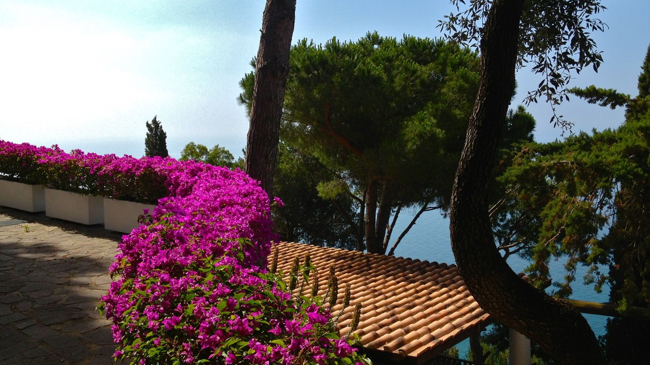Photo of Outdoor in Faro
