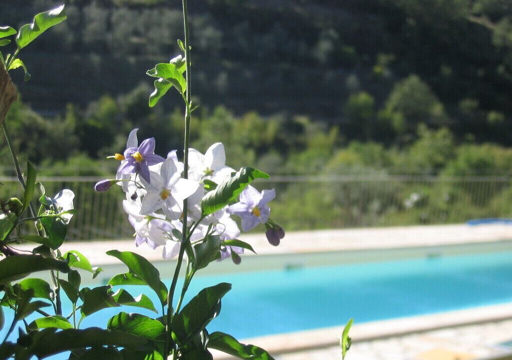 Photo of Outdoor in Garlenda