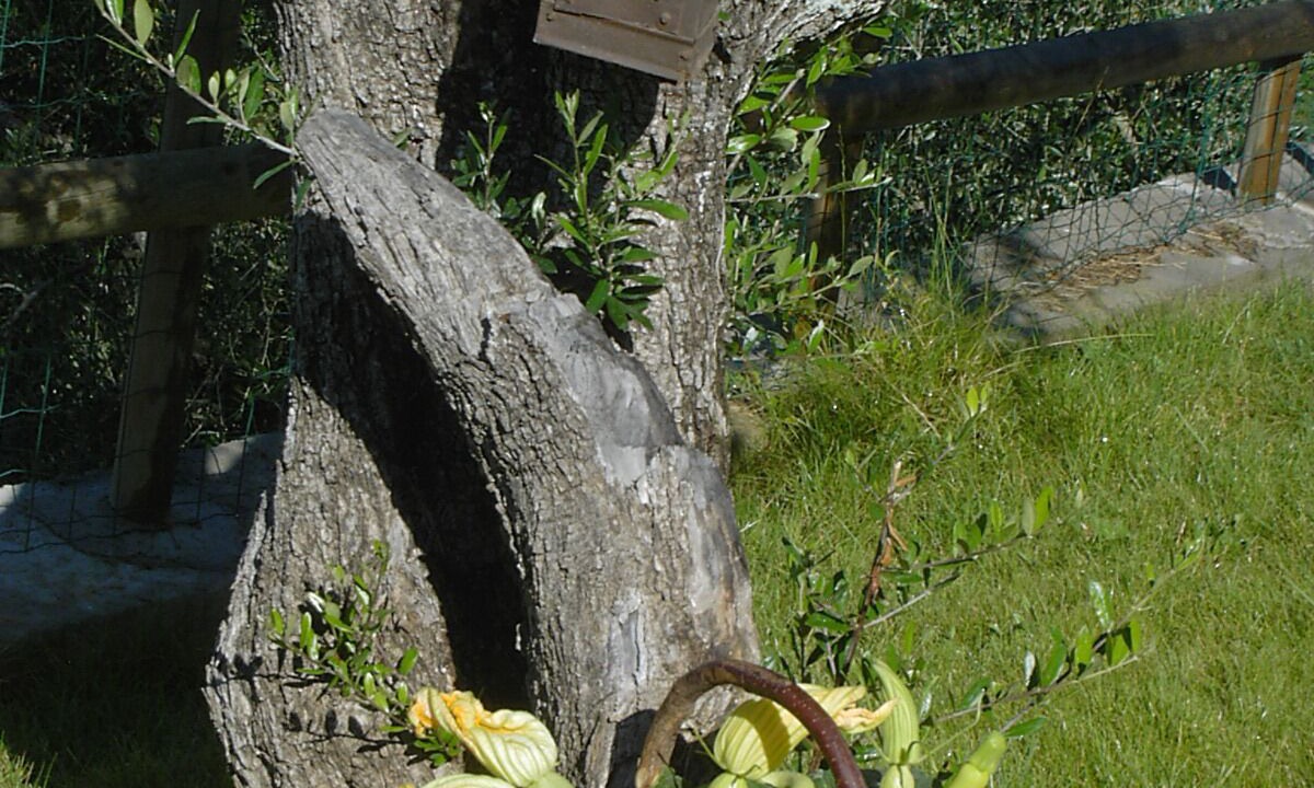 Photo of Outdoor in Garlenda