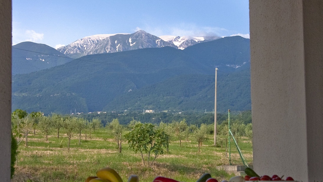 Photo of Outdoor in Rapino