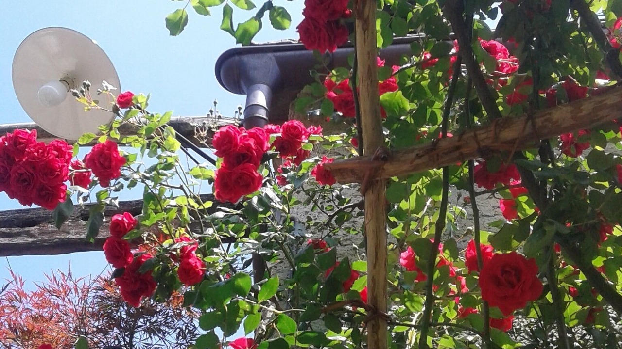 Photo of Outdoor in Domodossola