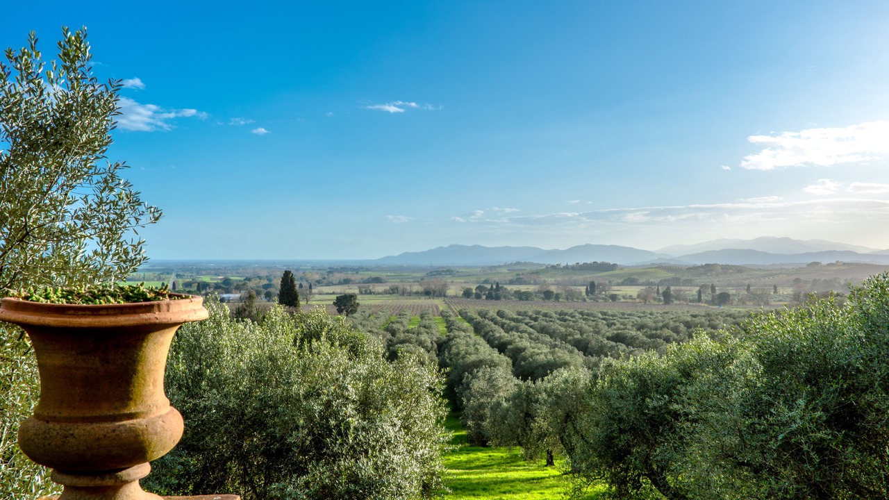 Photo of Outdoor in Roccastrada