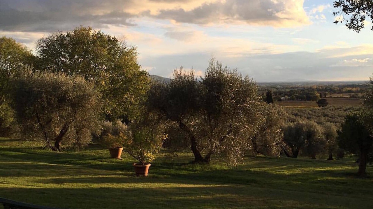 Photo of Outdoor in Roccastrada