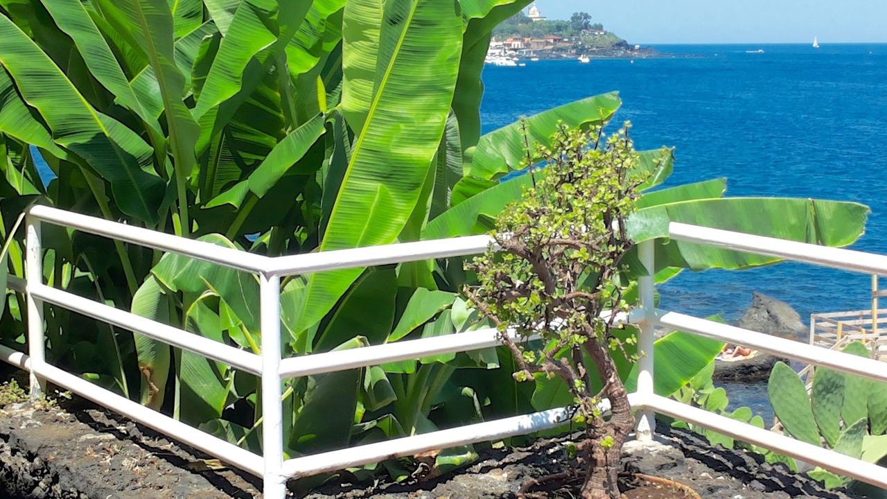 Photo of Outdoor in Aci Trezza